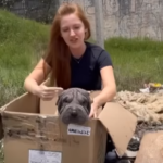 Knowing That The Dog Had No Chance To Revive, The Owner Took Her To The Landfill