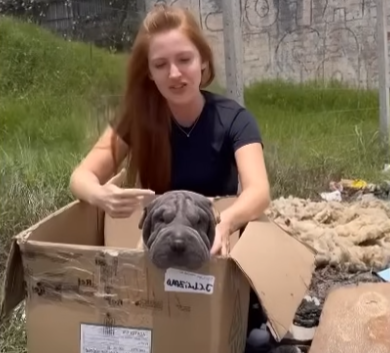 Knowing That The Dog Had No Chance To Revive, The Owner Took Her To The Landfill